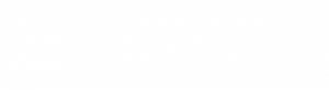Discord wordmark white.png